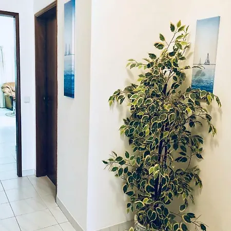 Apartmán Tulipas's A 2 Minutos Da Praia